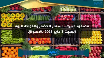 «صعود كبير».. أسعار الخضار والفواكه اليوم السبت 3 مايو 2025 بالأسواق